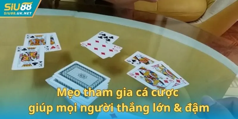 Mẹo tham gia cá cược giúp mọi người thắng lớn & đậm