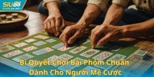 Bí Quyết Chơi Bài Phỏm Chuẩn Dành Cho Người Mê Cược