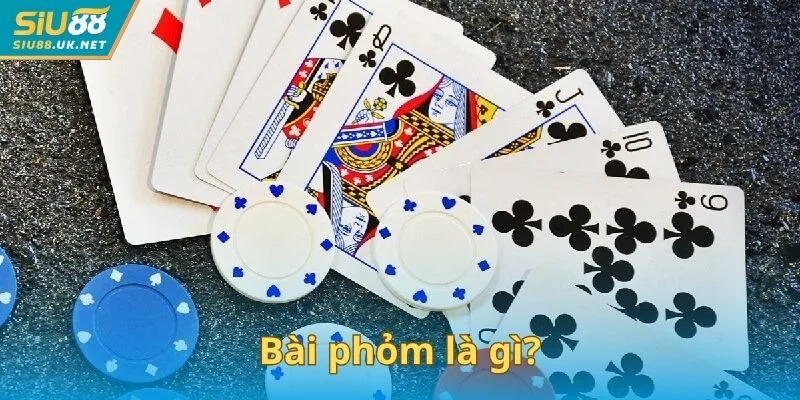 Bài phỏm là gì?