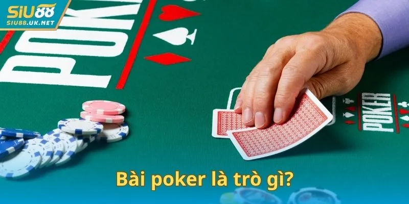 Bài poker là trò gì?