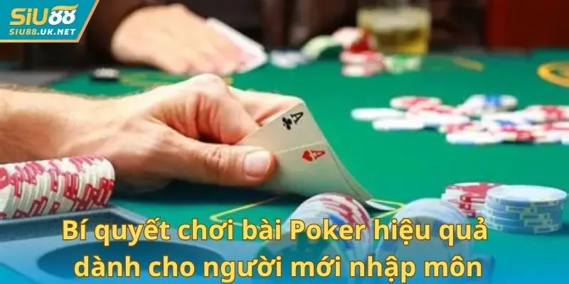 Bí quyết chơi bài Poker hiệu quả dành cho người mới nhập môn