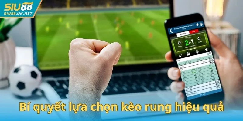 Bí quyết lựa chọn kèo rung hiệu quả