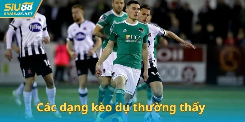 Các dạng kèo dụ thường thấy
