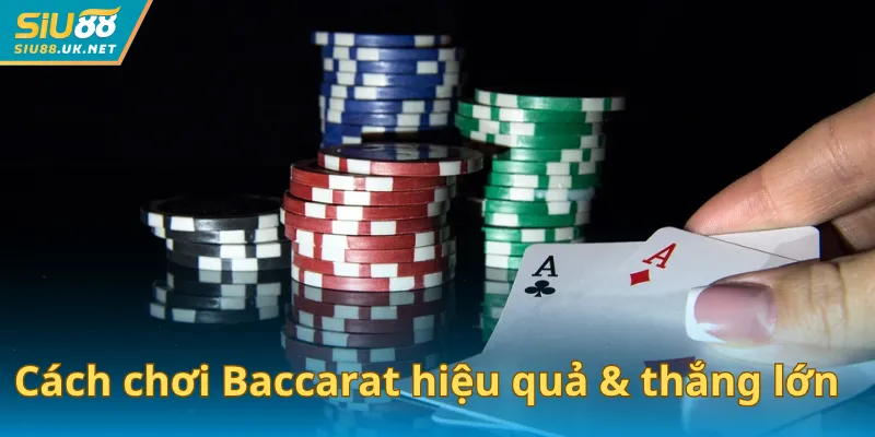 Cách chơi Baccarat hiệu quả & thắng lớn