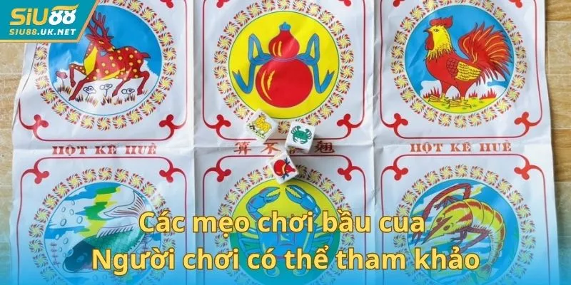 Các mẹo chơi bầu cua người chơi có thể tham khảo