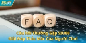 Câu hỏi Thường Gặp SIU88 - Giải Đáp Thắc Mắc Của Người Chơi
