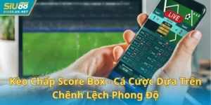 Kèo Chấp Score Box - Cá Cược Dựa Trên Chênh Lệch Phong Độ