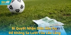 Bí Quyết Nhận Diện Kèo Dụ Để Không Sa Lưới Của Lão Làng