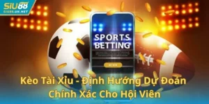 Kèo Tài Xỉu - Định Hướng Dự Đoán Chính Xác Cho Hội Viên