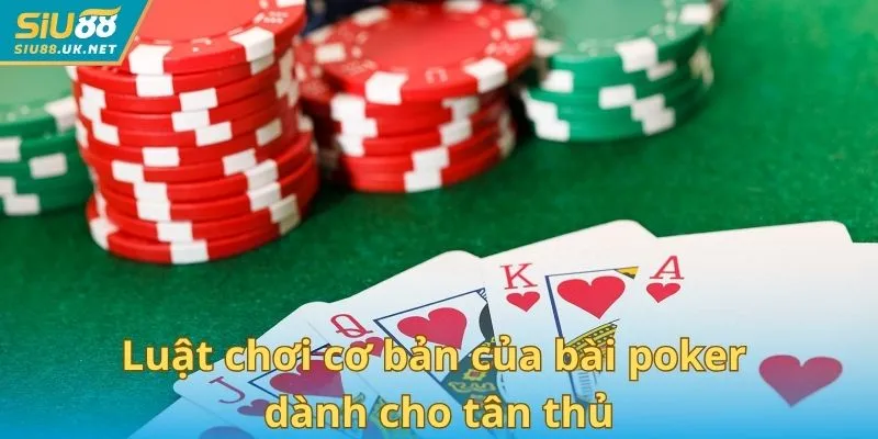 Luật chơi cơ bản của bài poker dành cho tân thủ
