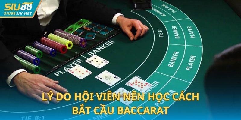 Lý do hội viên nên học cách bắt cầu baccarat