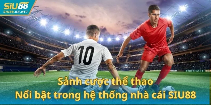 Sảnh cược nổi bật trong hệ thống giải trí đa dạng của nhà cái SIU88