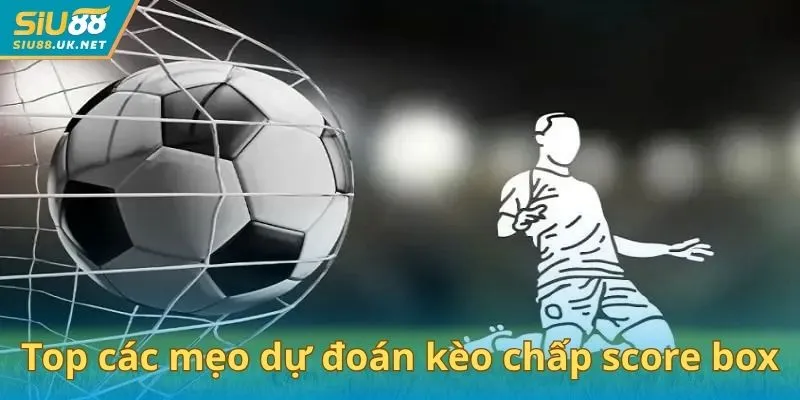 Top các mẹo dự đoán kèo chấp score box